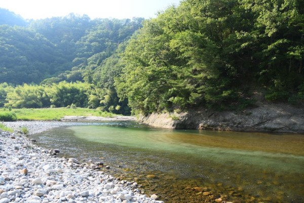 なかなかきれいな和知野川
