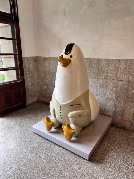 Cute local bird in Taipei