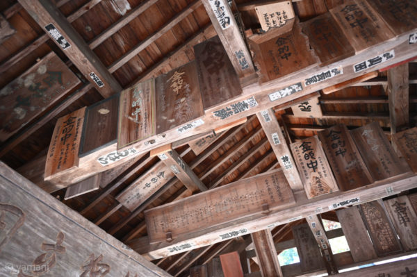 Ogiso's New Year's Goals